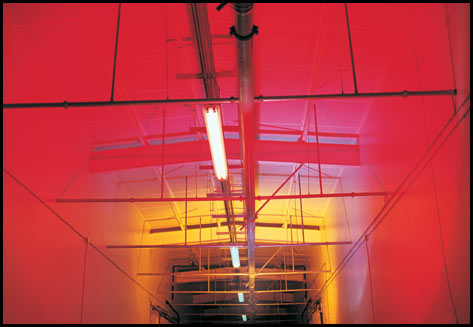 red ceiling and fluorescent lights
